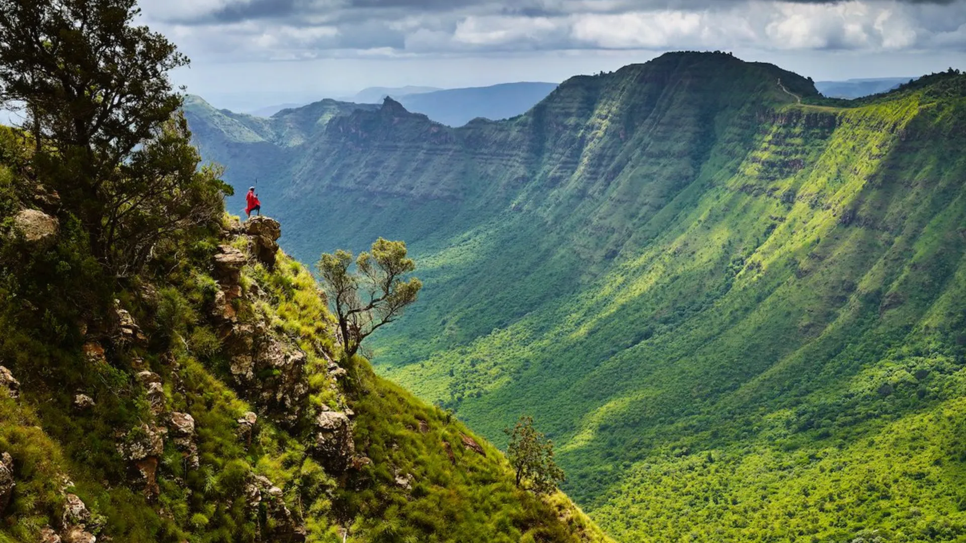 Signature Safari Experience